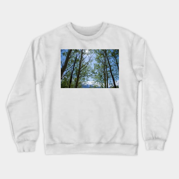 Colorado Mountain 5 Crewneck Sweatshirt by photosbyalexis